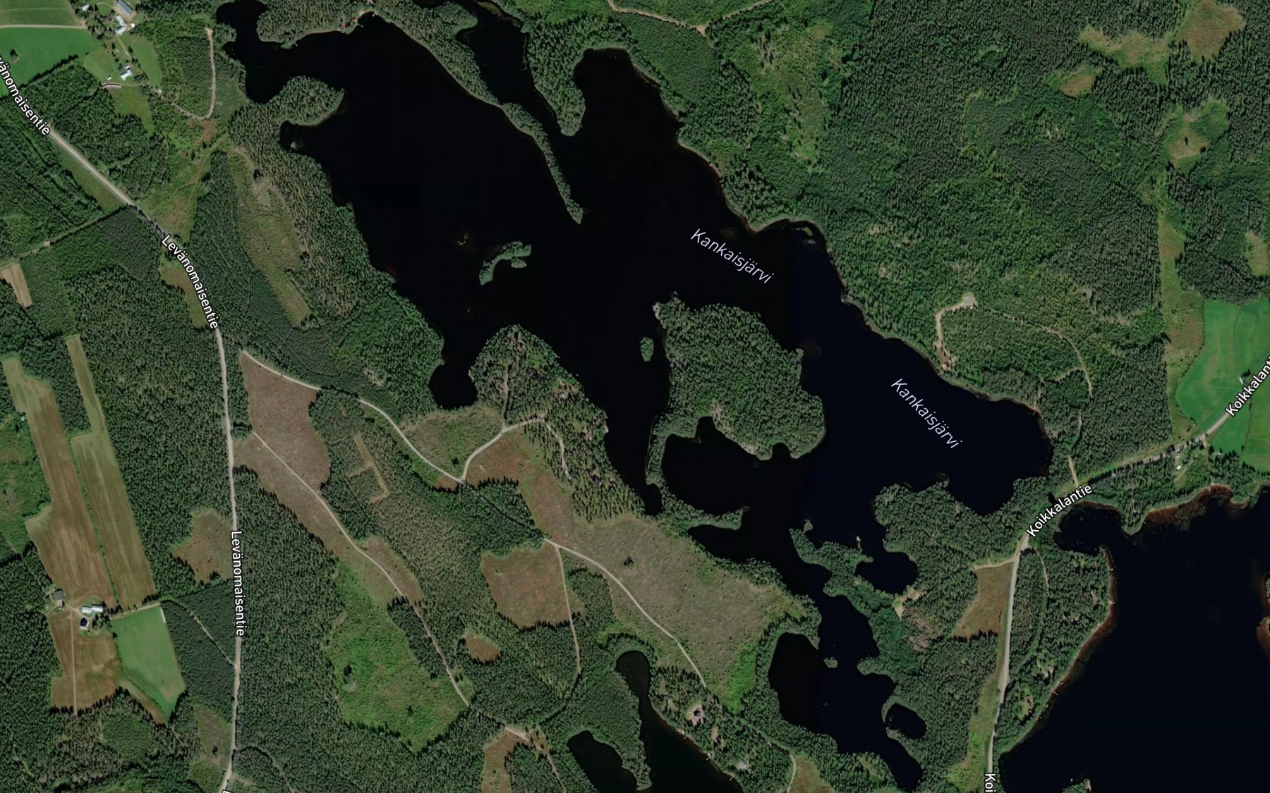 Satellite map of the Kankaisjarvi