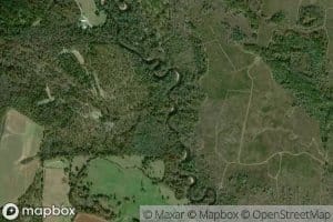 Reedy Creek