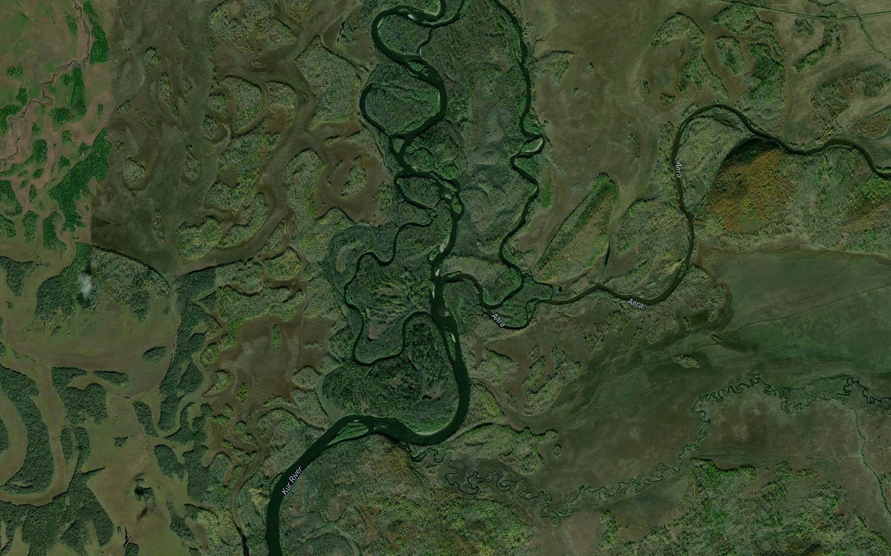 Satellite map of the Alga