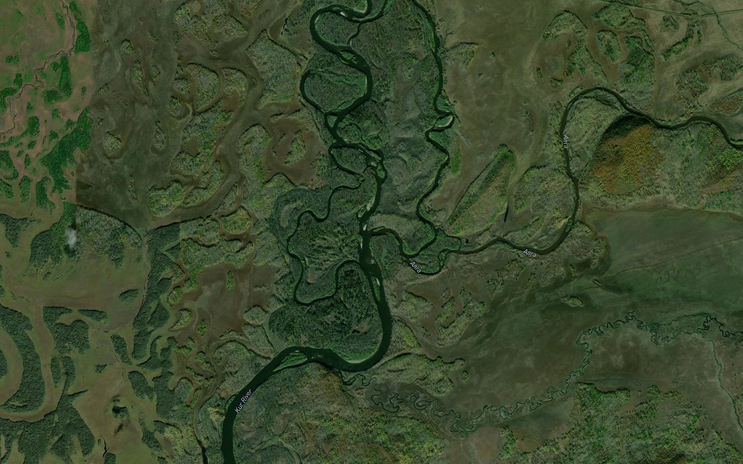 Alga