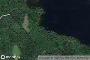 Mustanojansuu