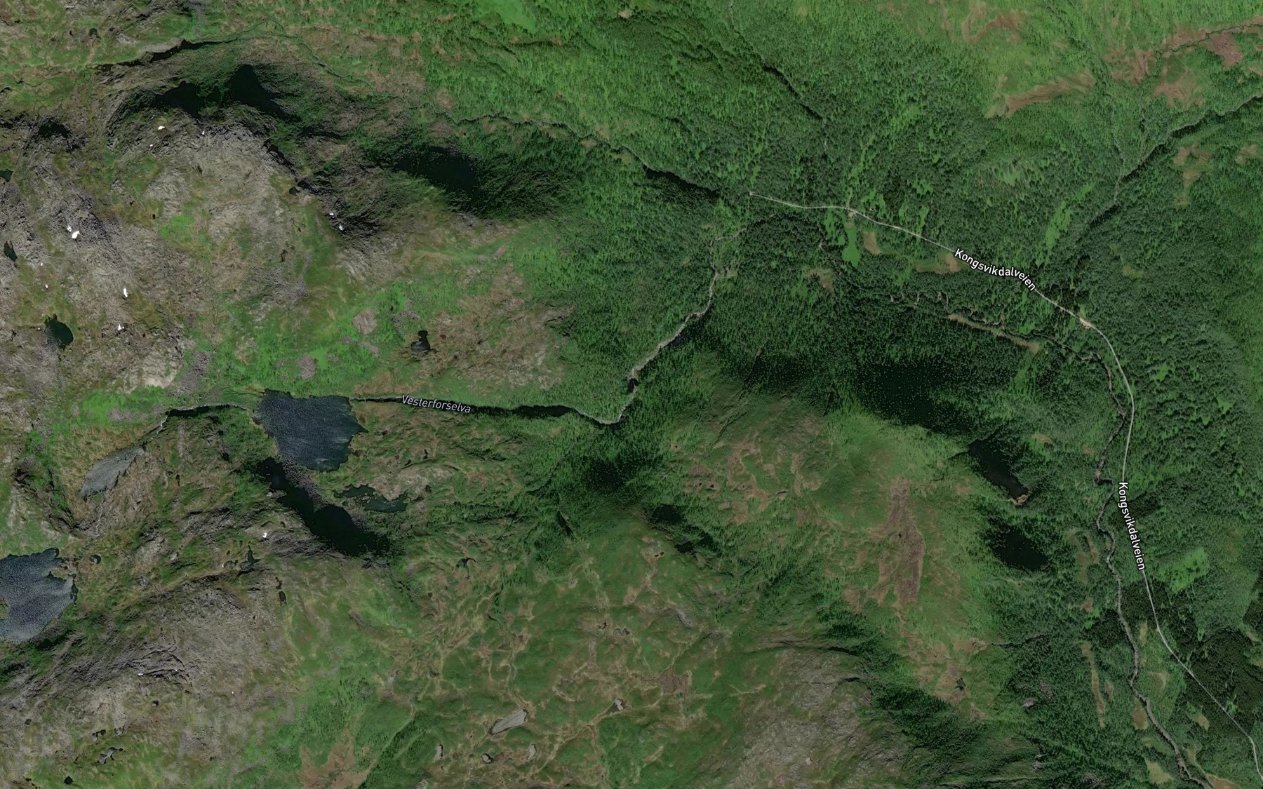 Satellite map of the Vesterforselva
