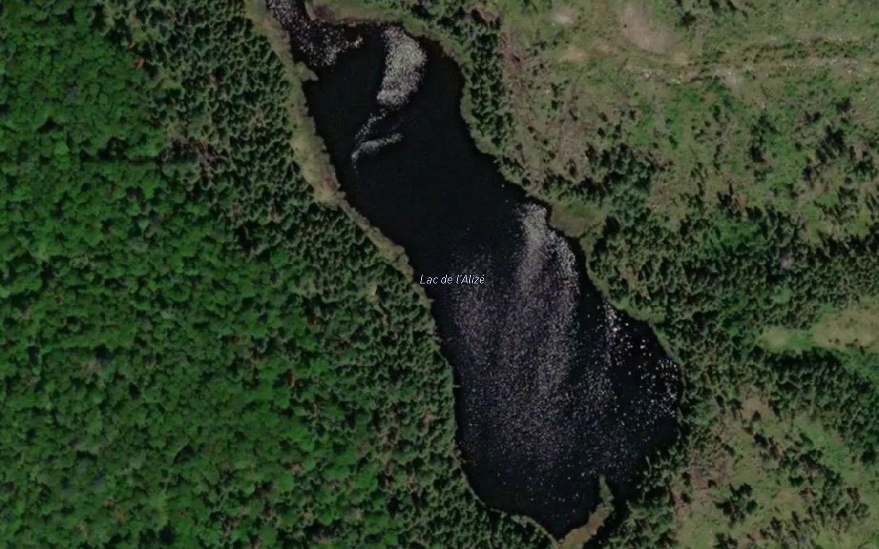 Satellite map of the Lac de l'Alize