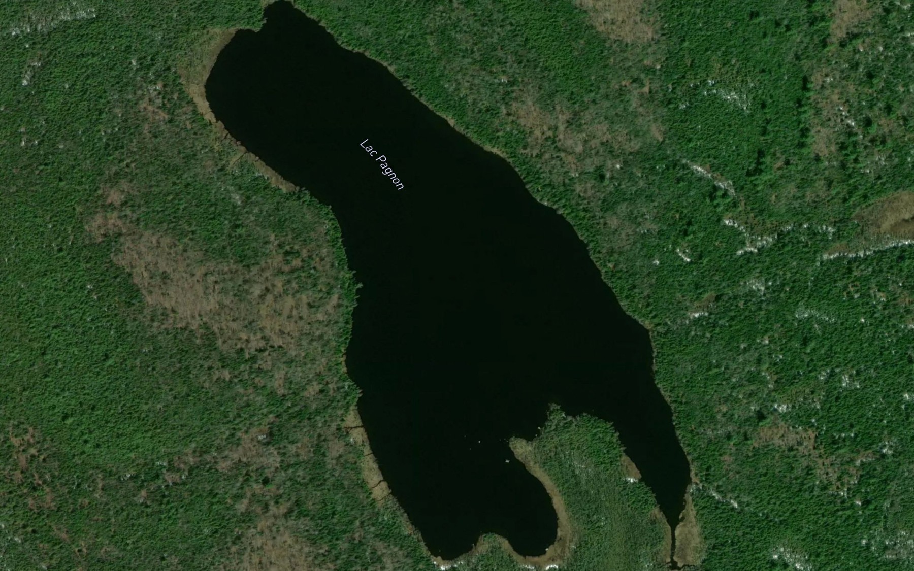 Satellite map of the Lac Pagnon