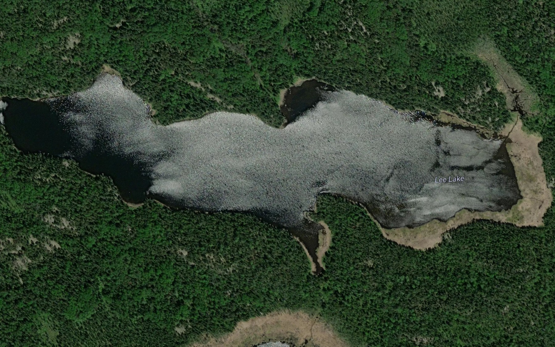 Satellite map of the Lee Lake