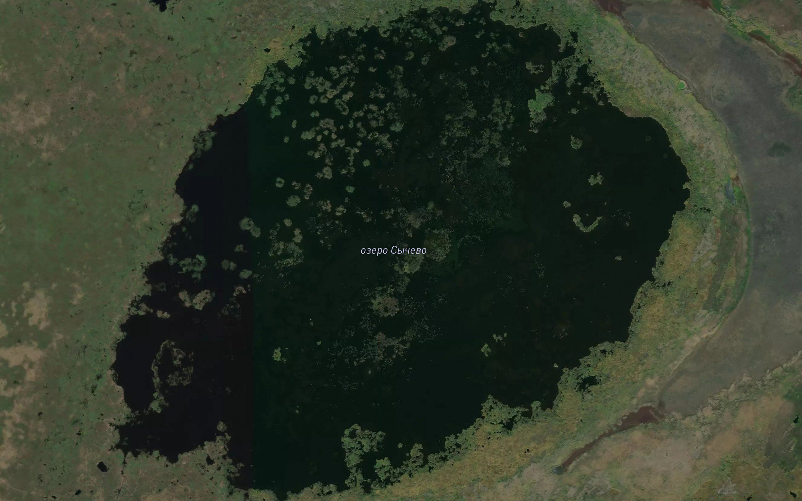 Ozero Synevo