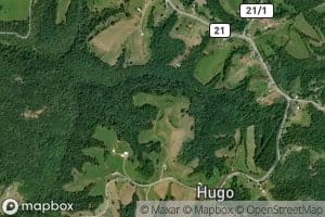 Charles Castro Spring