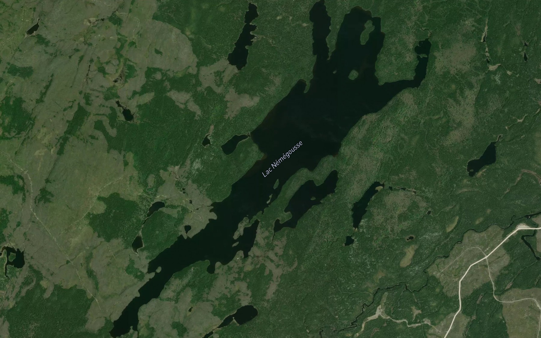 Satellite map of the Lac Nemegousse