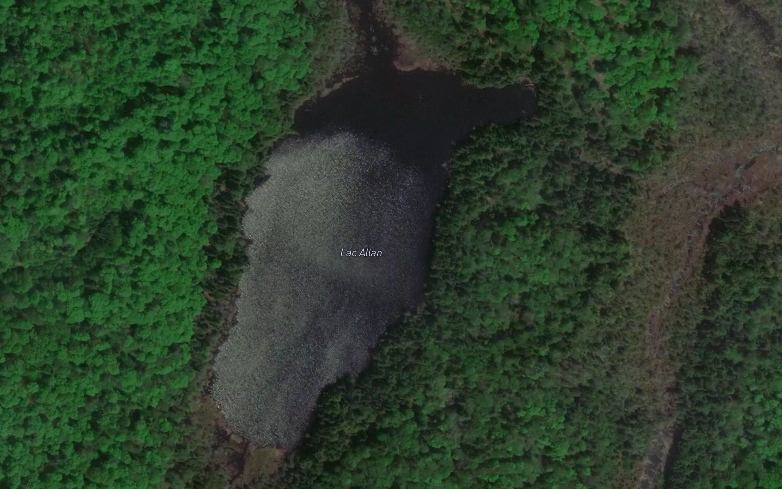 Lac Allan
