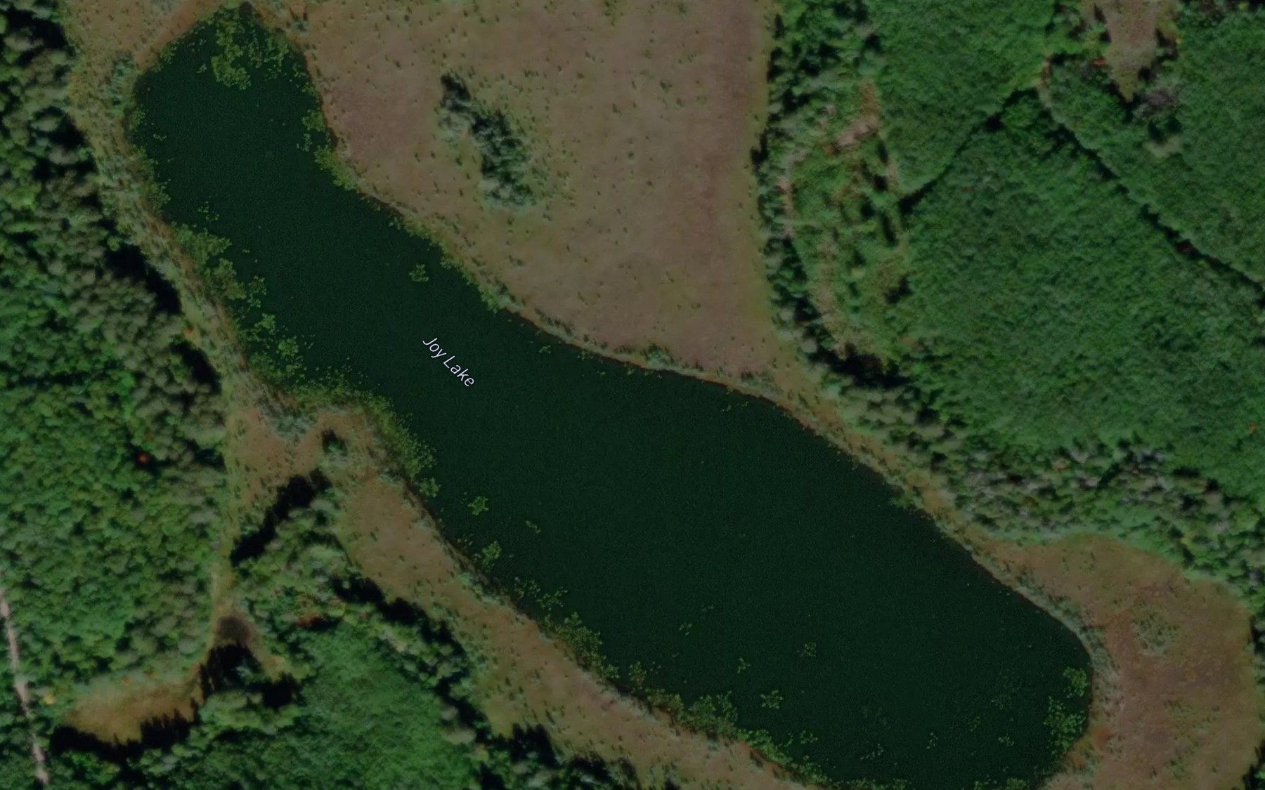 Satellite map of the Joy Lake