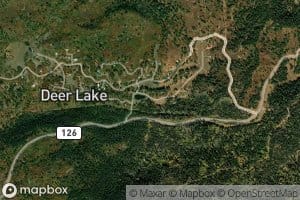 Deer Lake