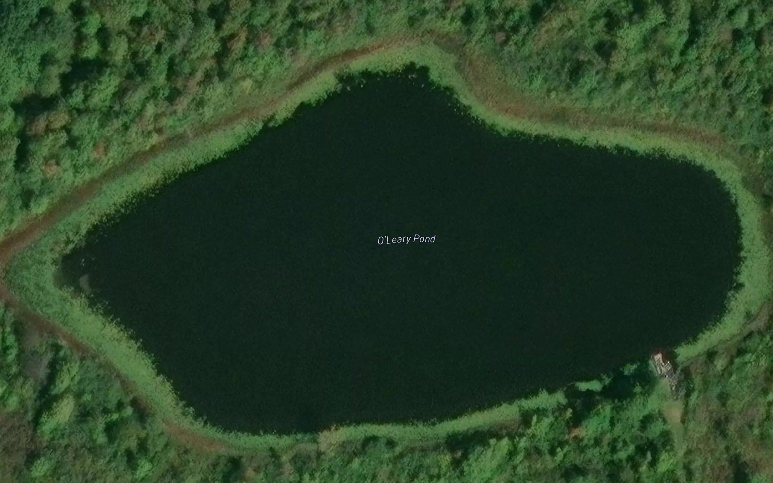 O'Leary Pond