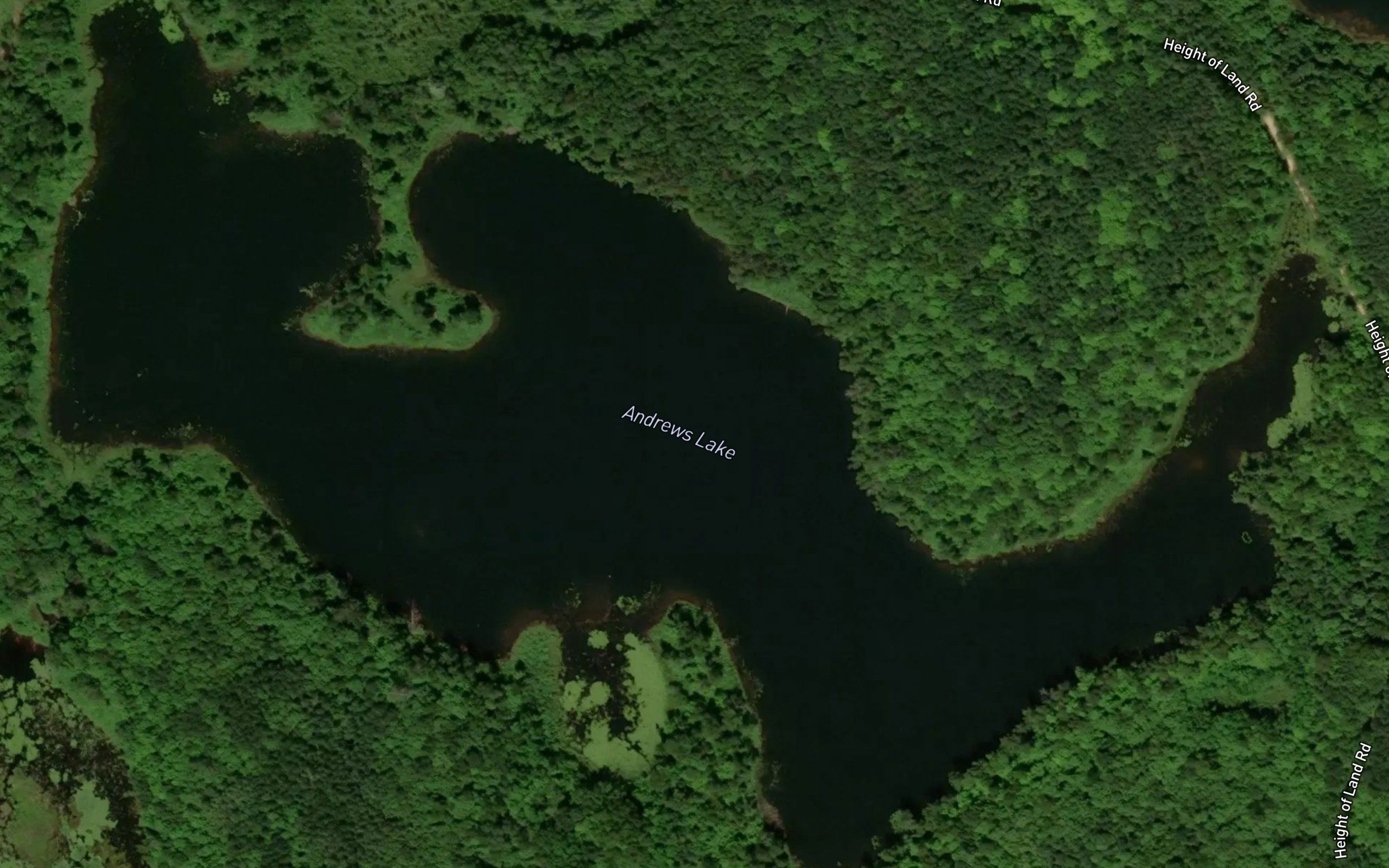 Andrews Lake