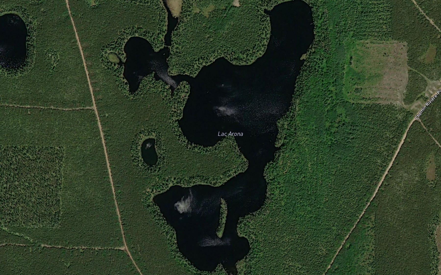 Satellite map of the Lac Arona
