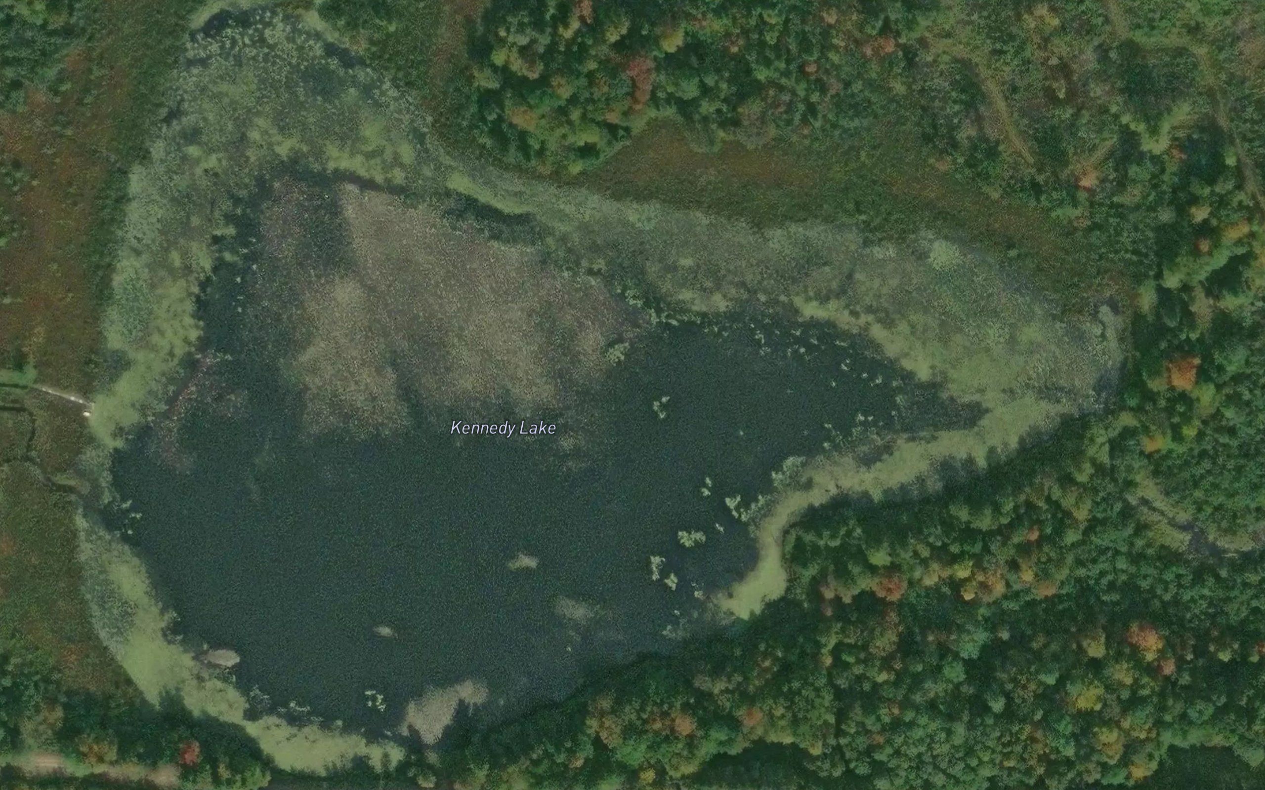 Kennedy Lake