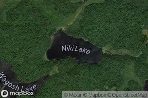 Niki Lake