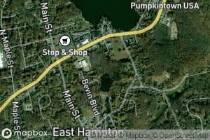 Bevins Pond