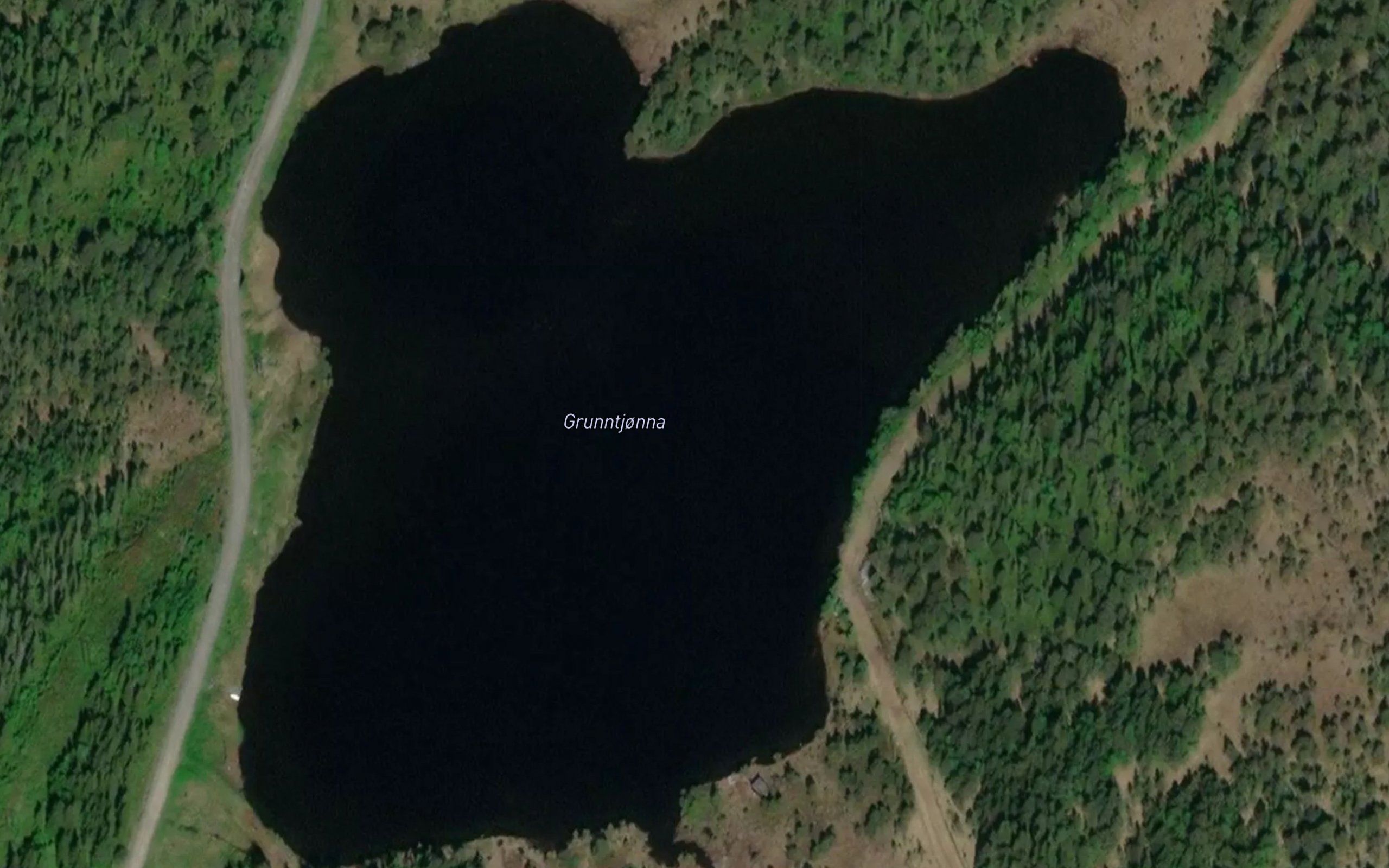 Grunntjorna