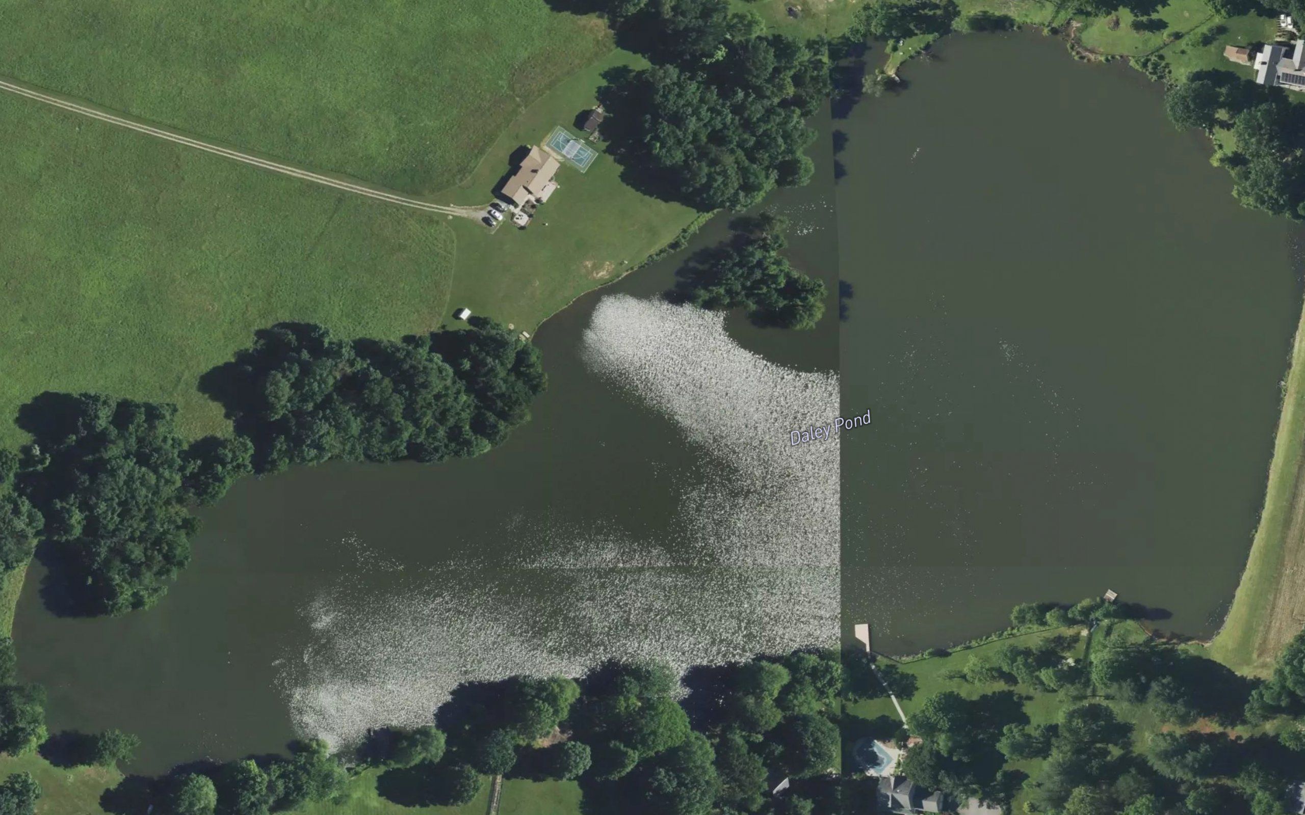 Daley Pond
