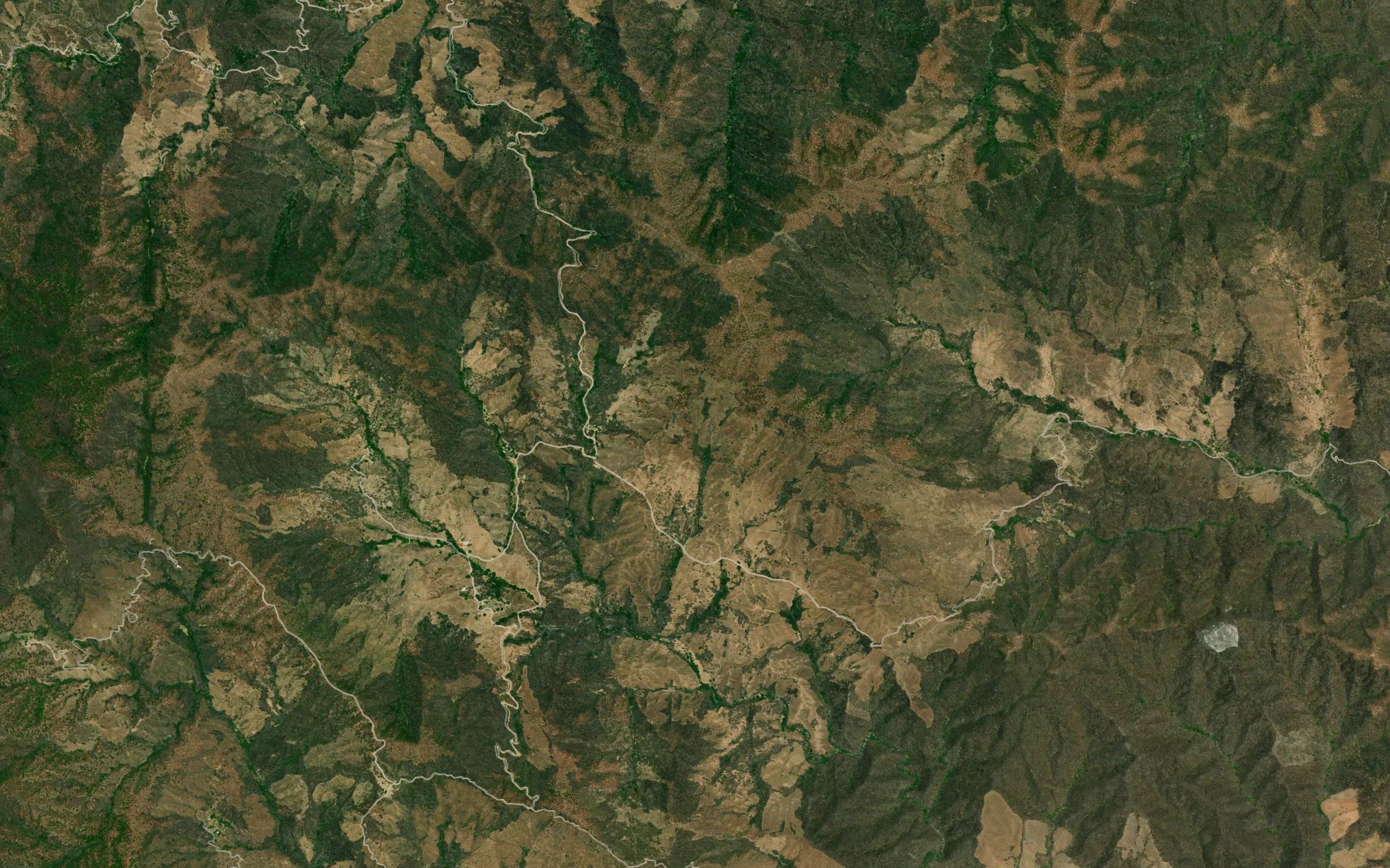 Barranca La Principal