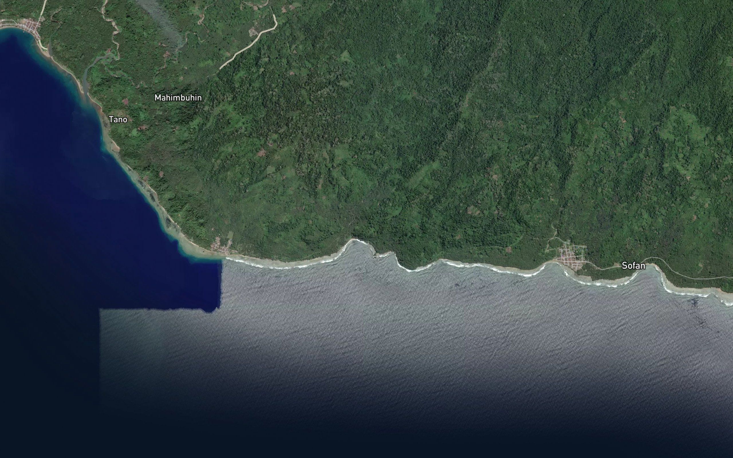 Wai Niyu