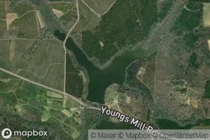 Youngs Millpond