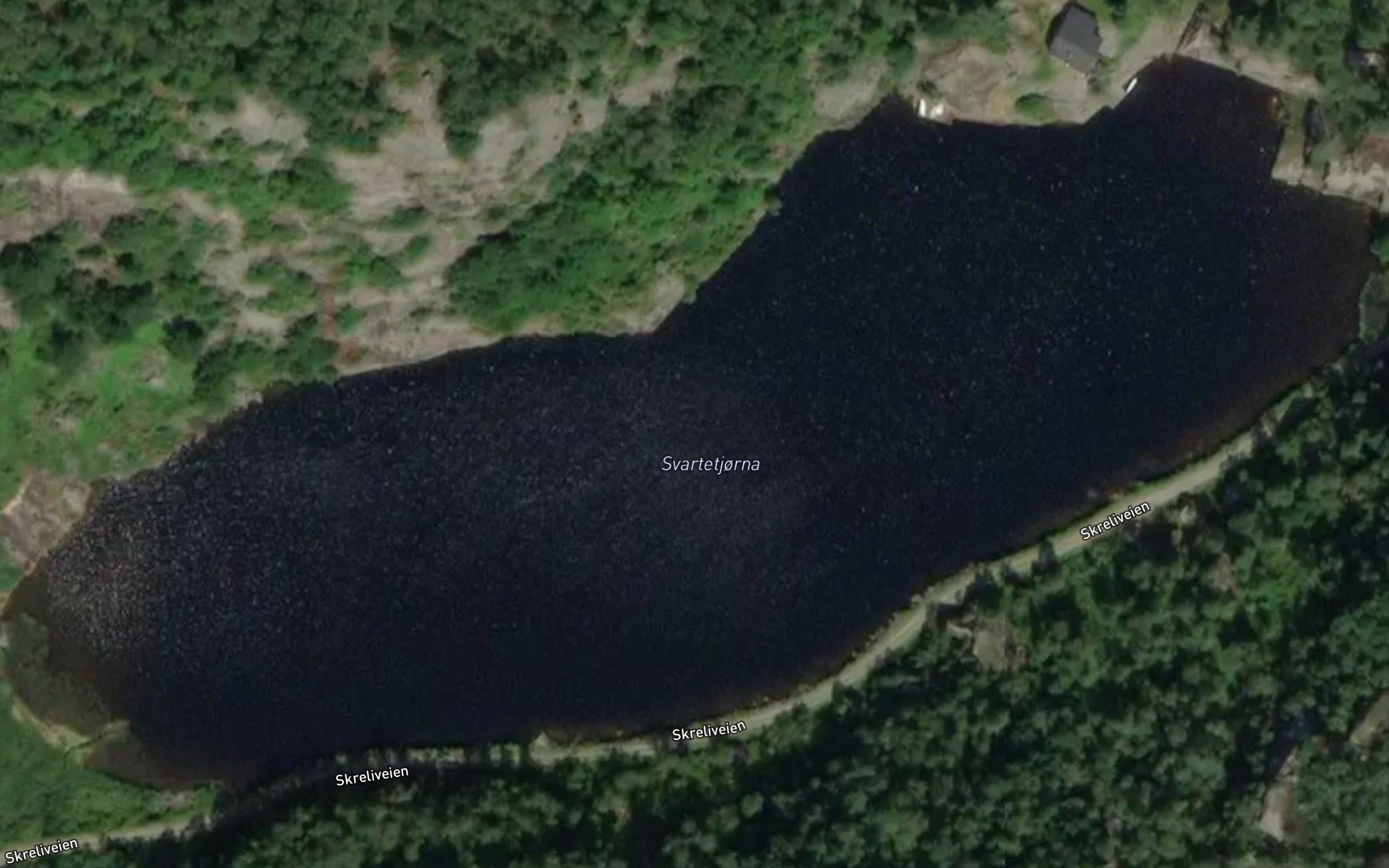 Svartevannet