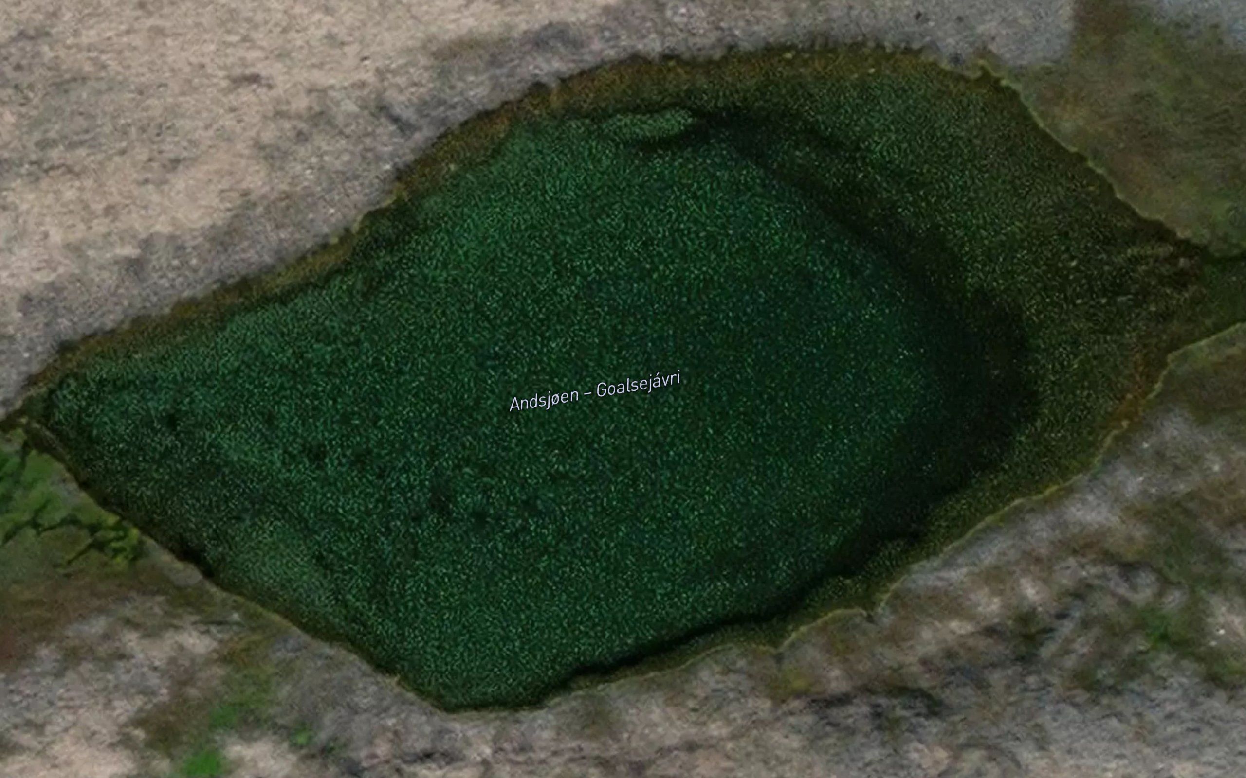 Goalsejavri