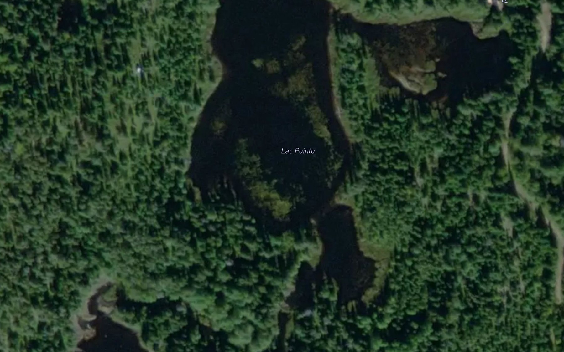 Satellite map of the Lac Pointu