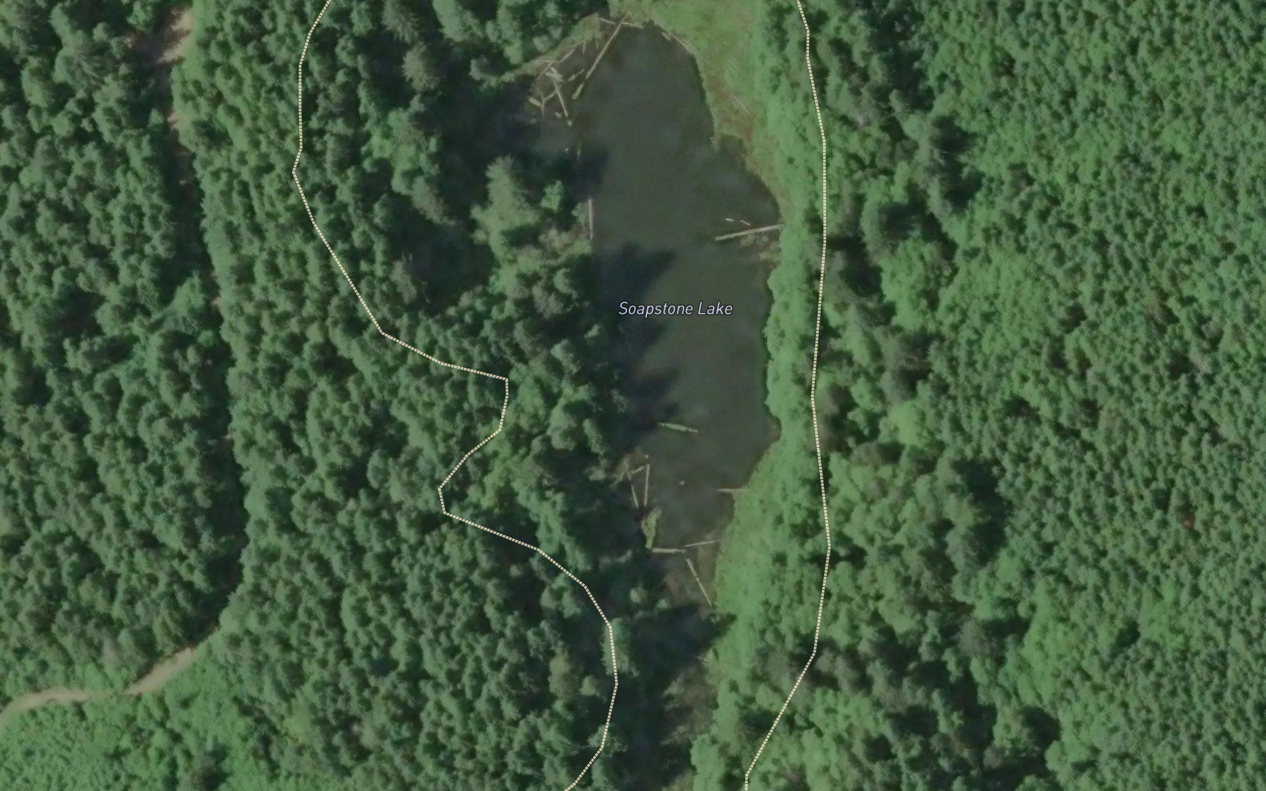 Soapstone Lake
