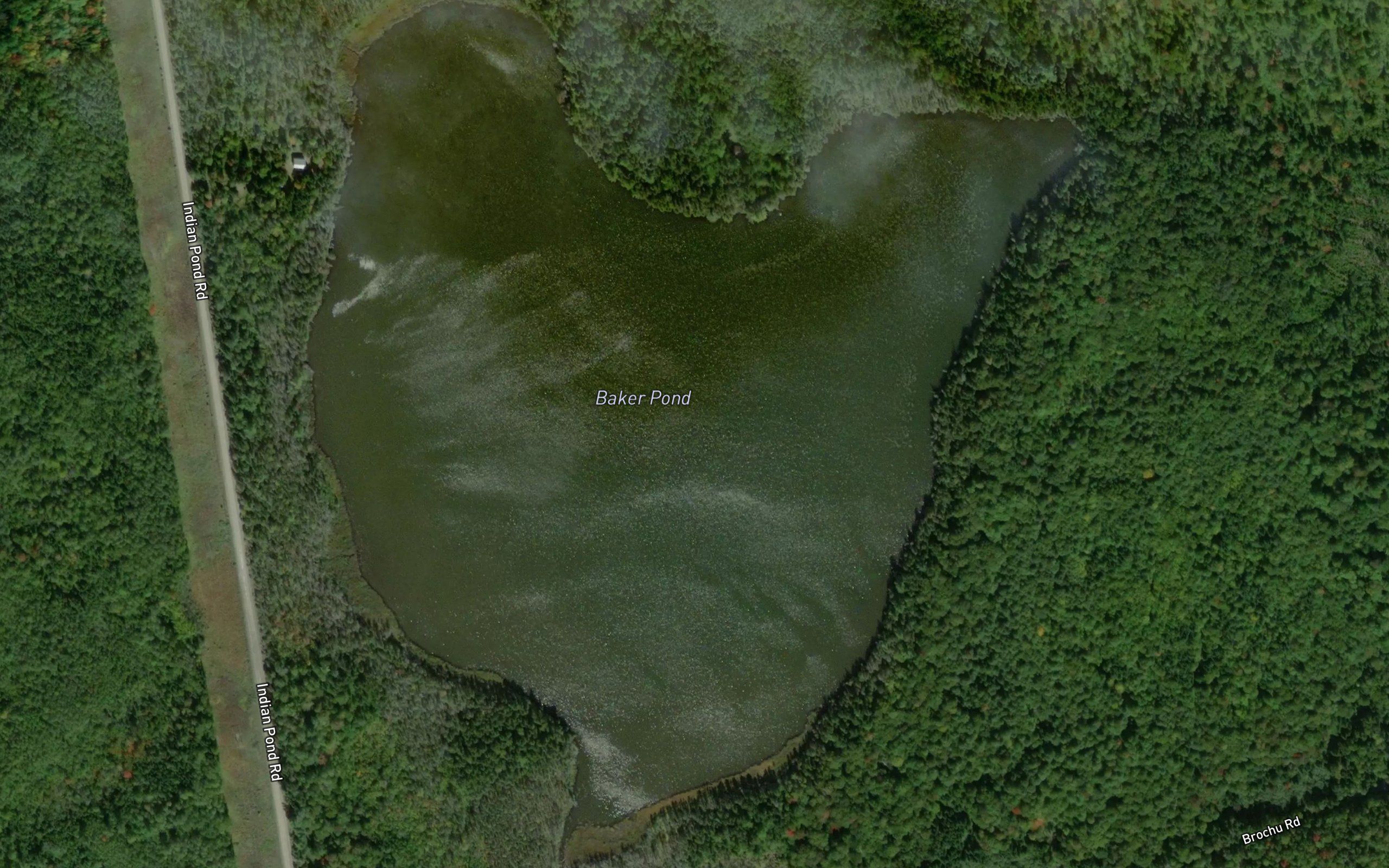 Baker Pond