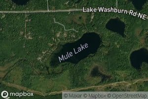 Mule Lake
