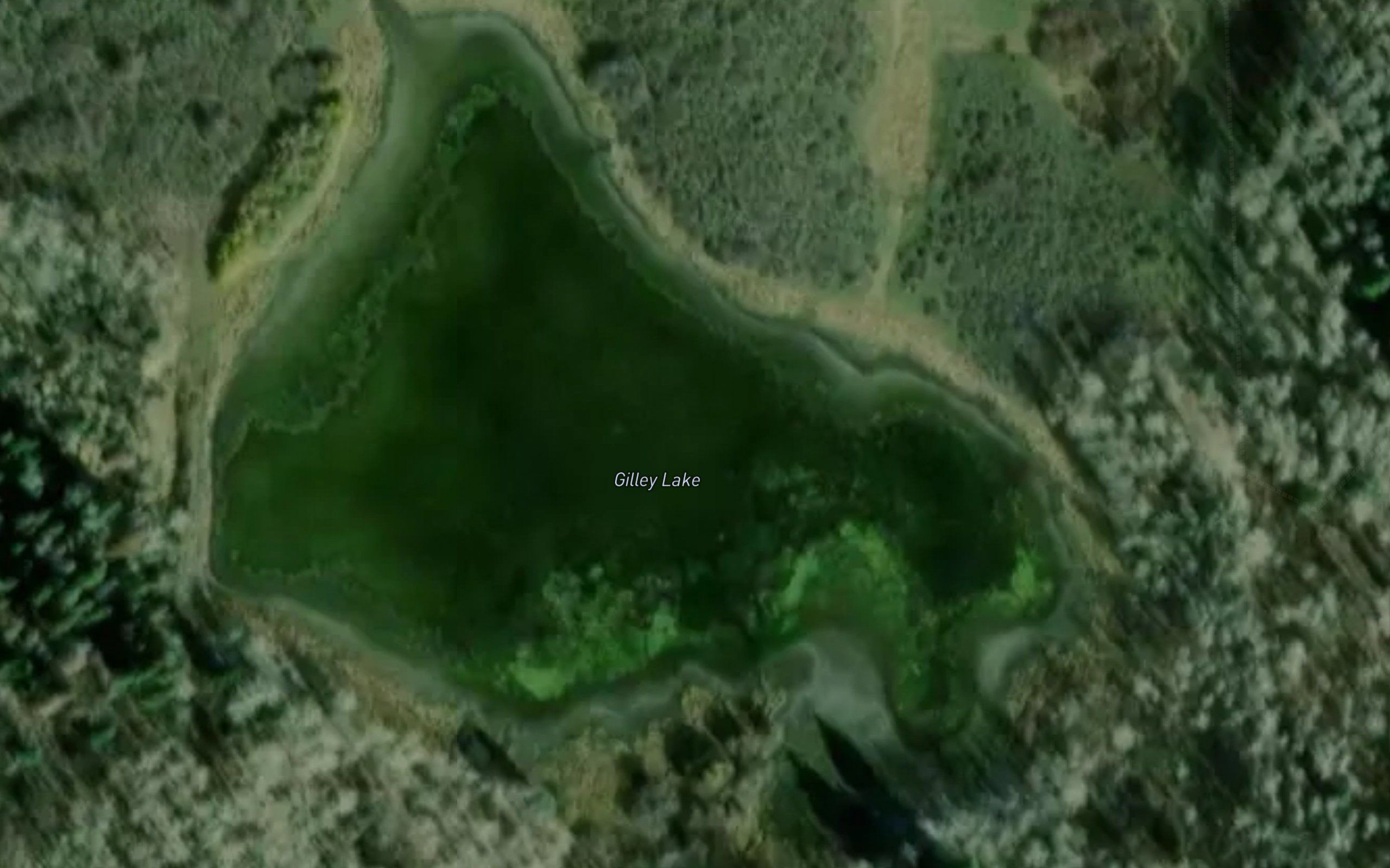 Gilley Lake