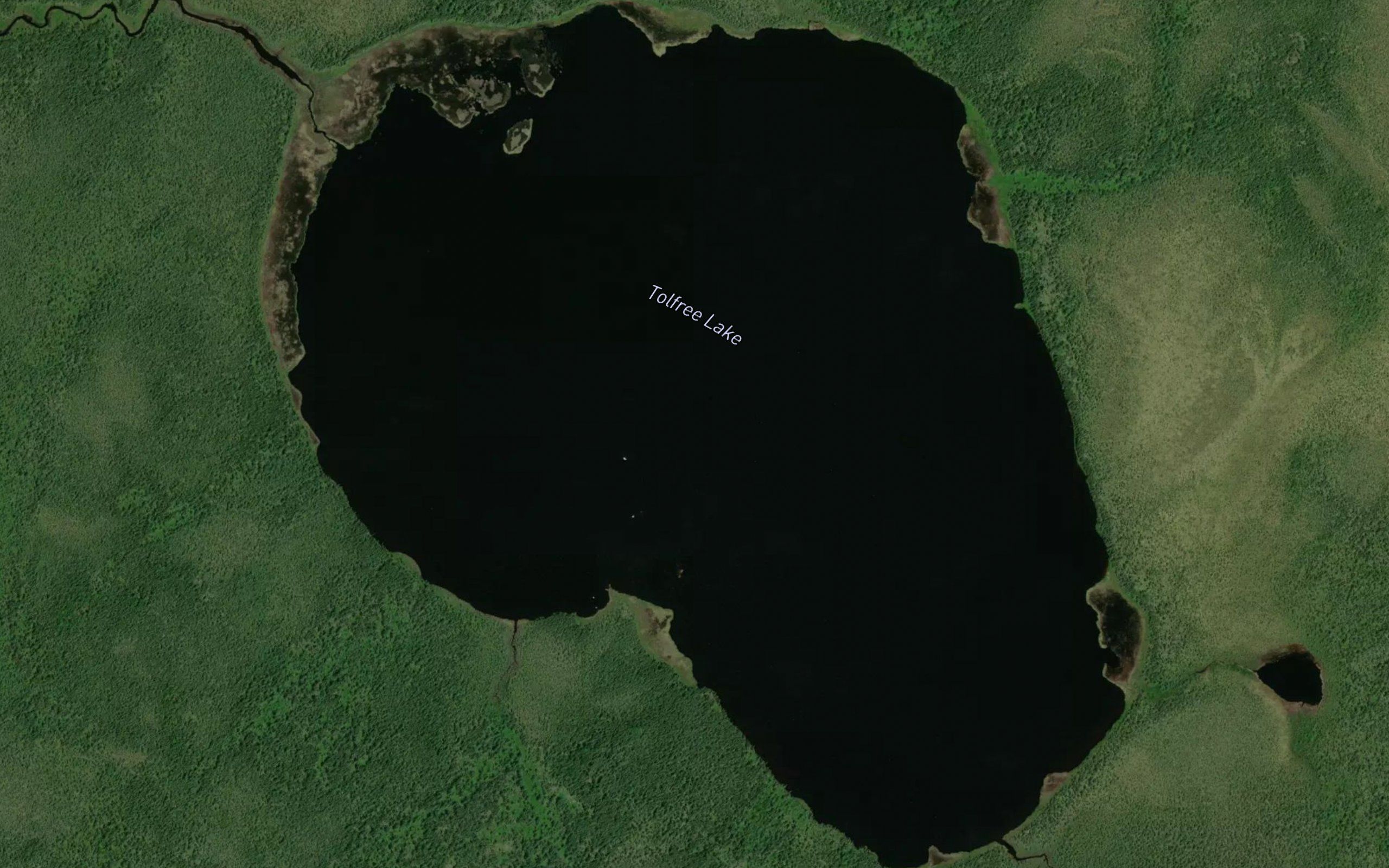 Tolfree Lake