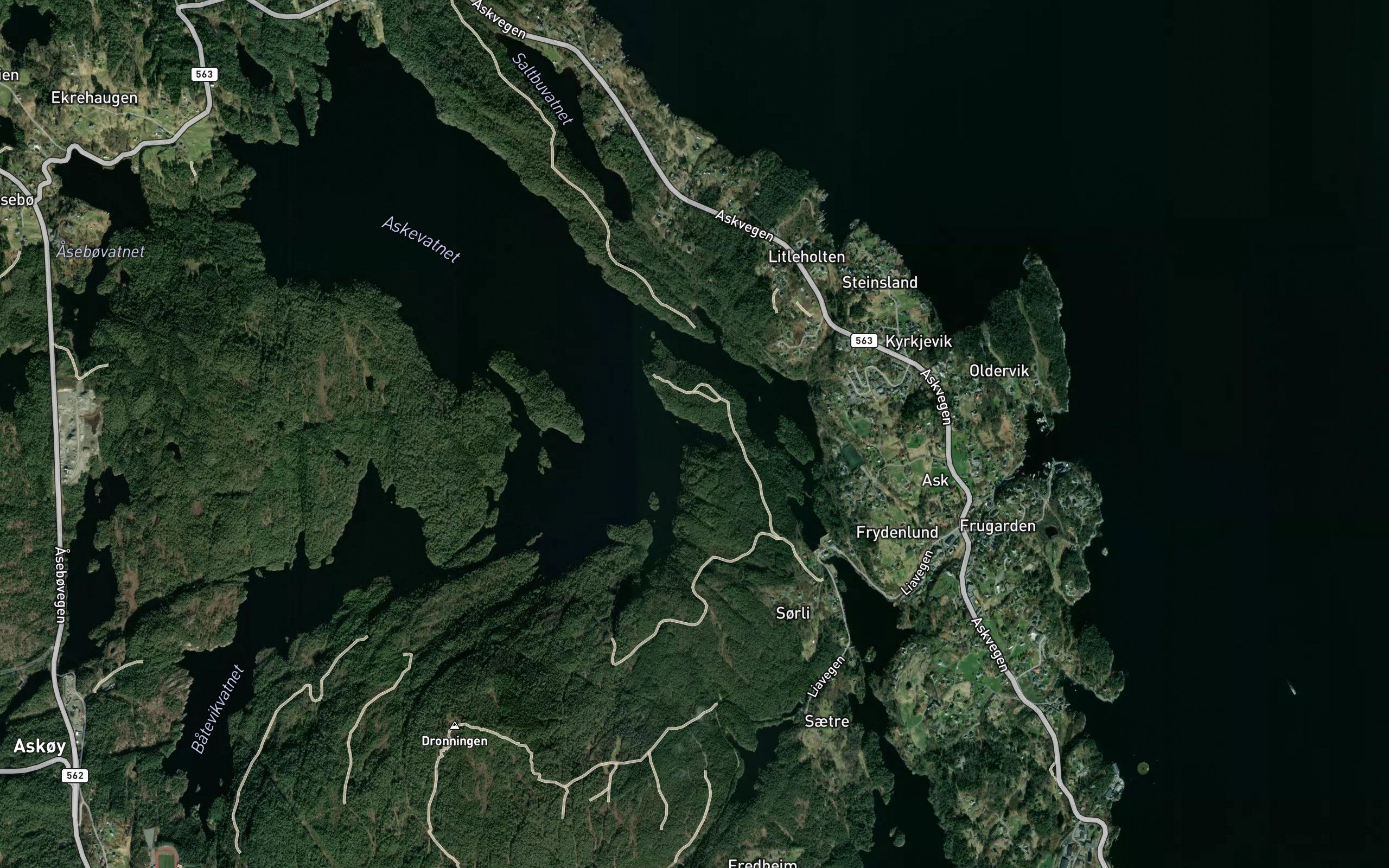Ormevika
