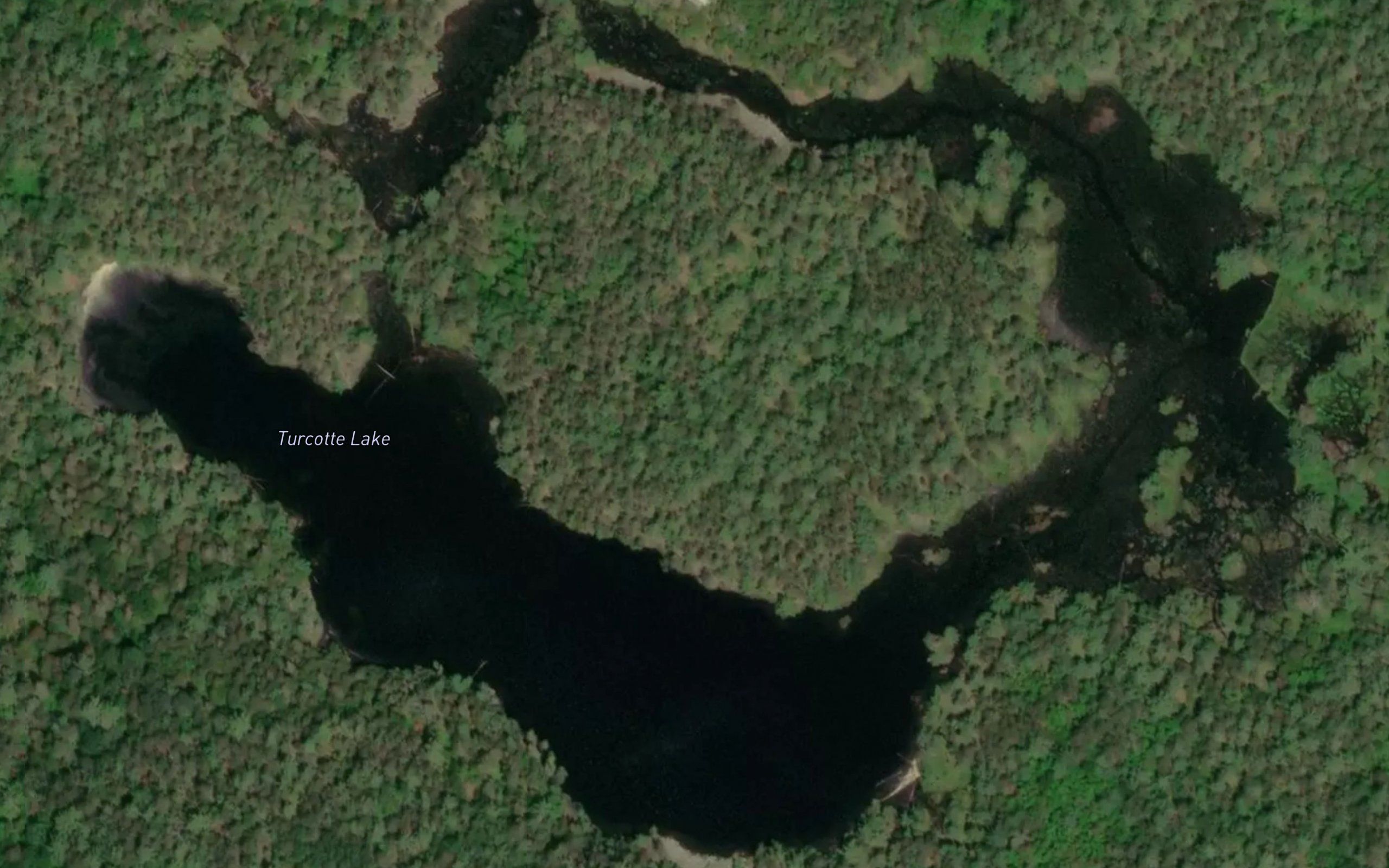 Turcotte Lake