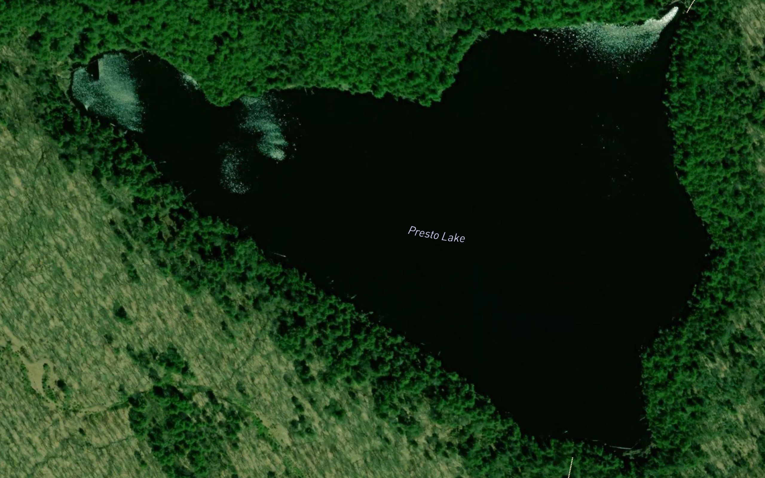 Presto Lake