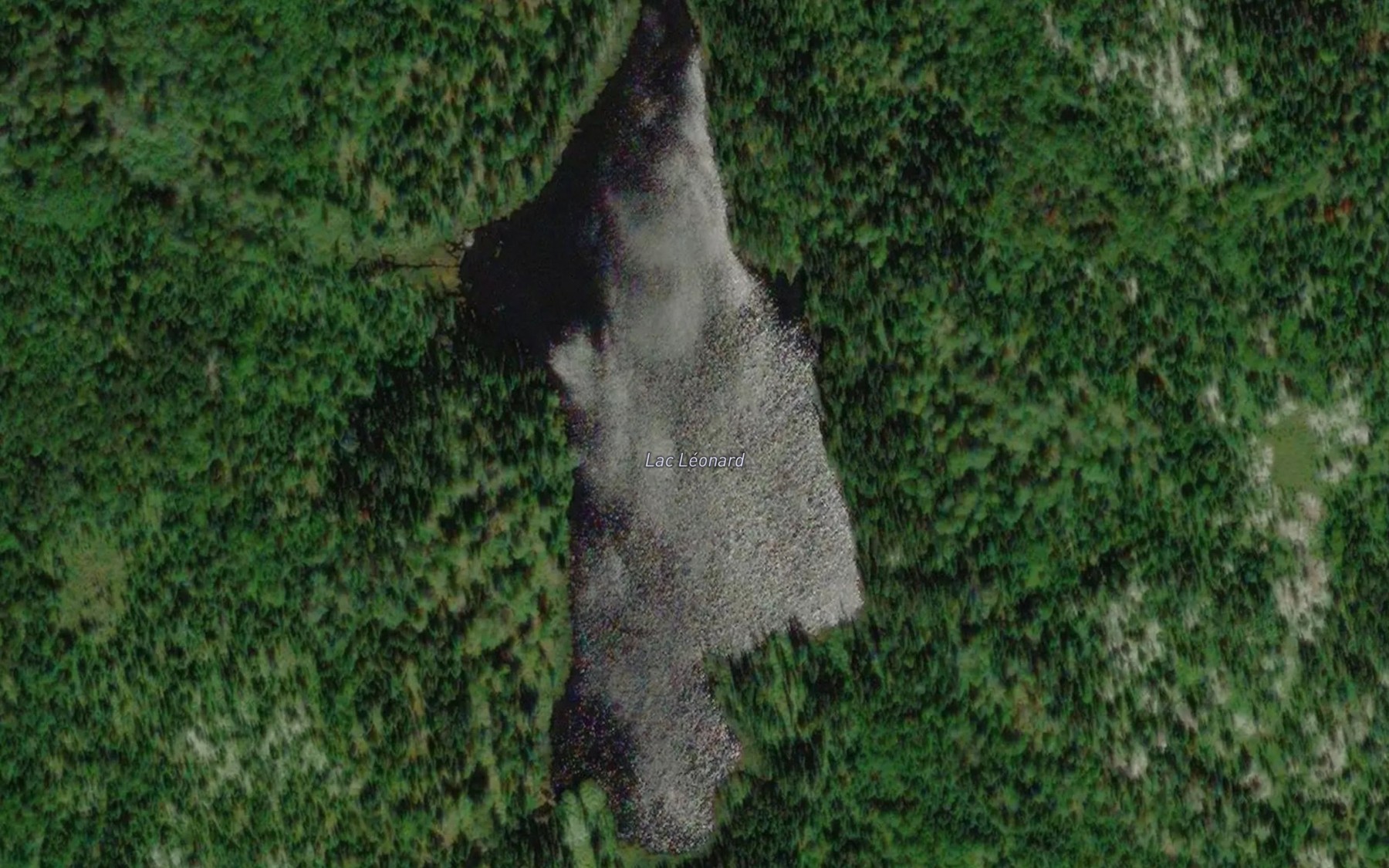 Satellite map of the Lac Leonard