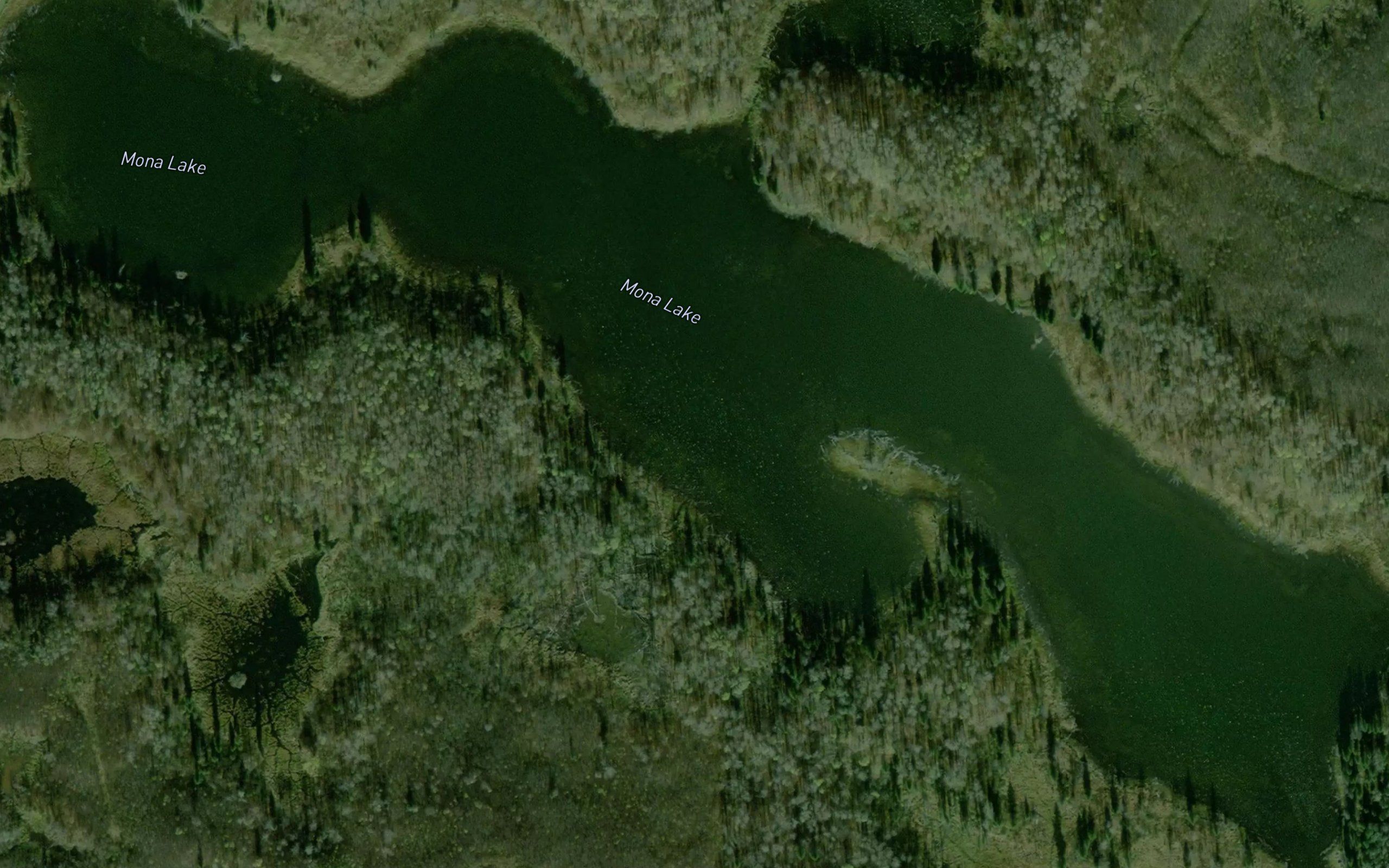 Mona Lake