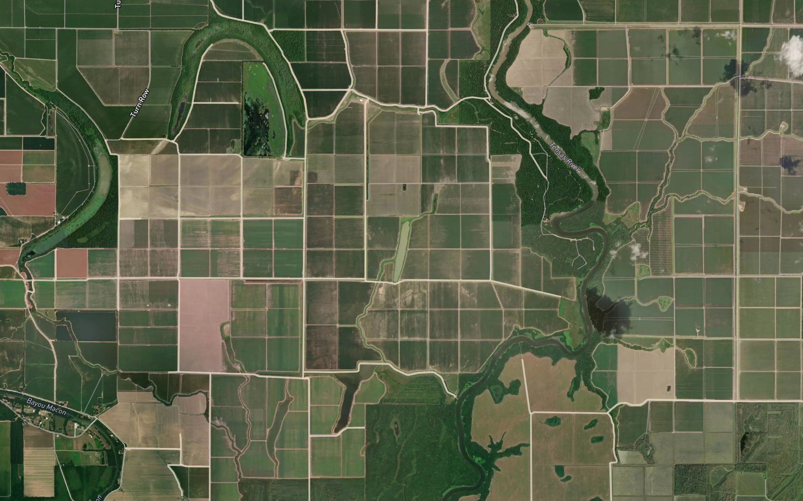 Big Cow Lake