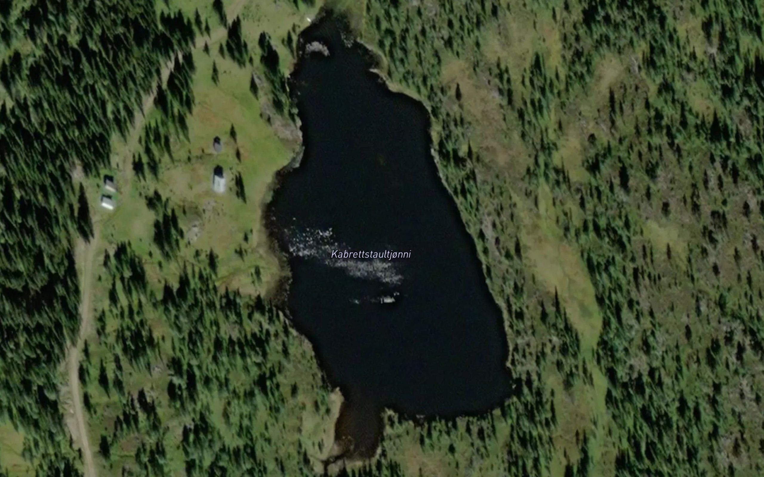 Kabrettstaultjorni