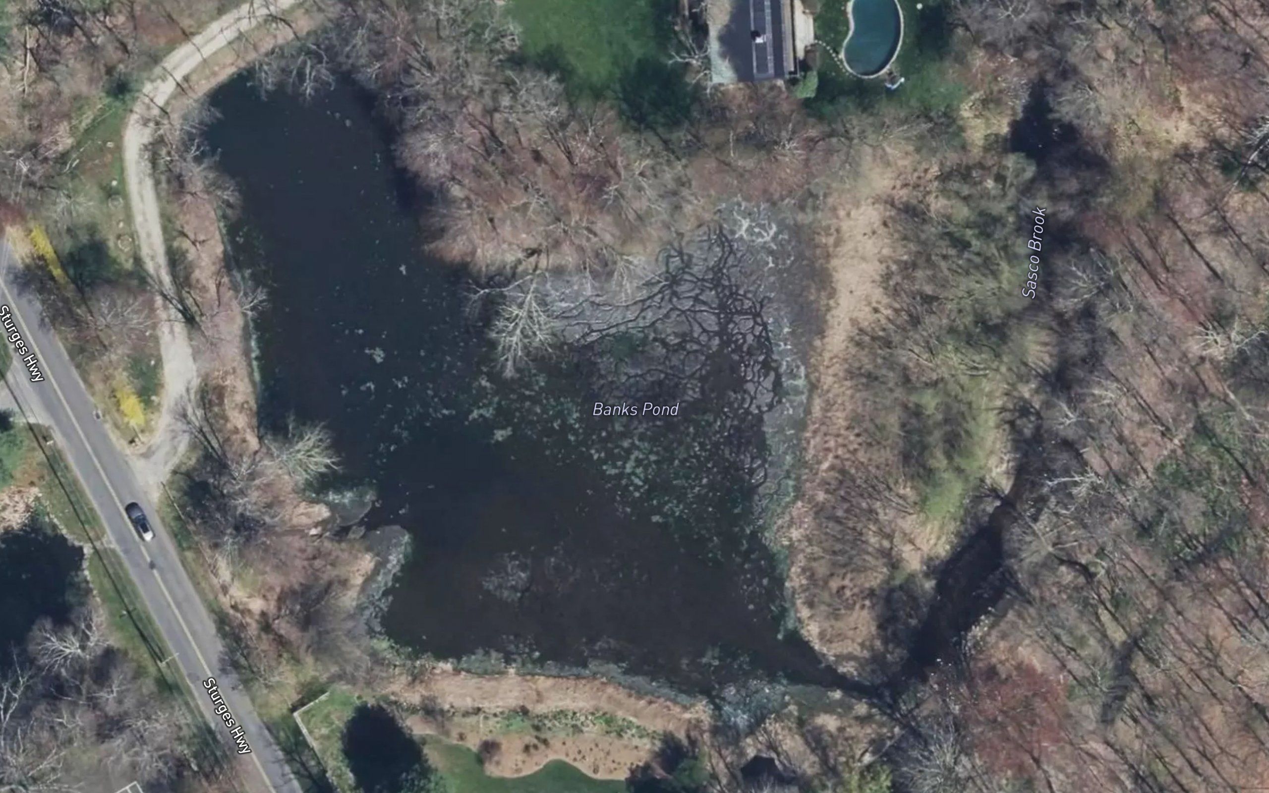 Banks Pond