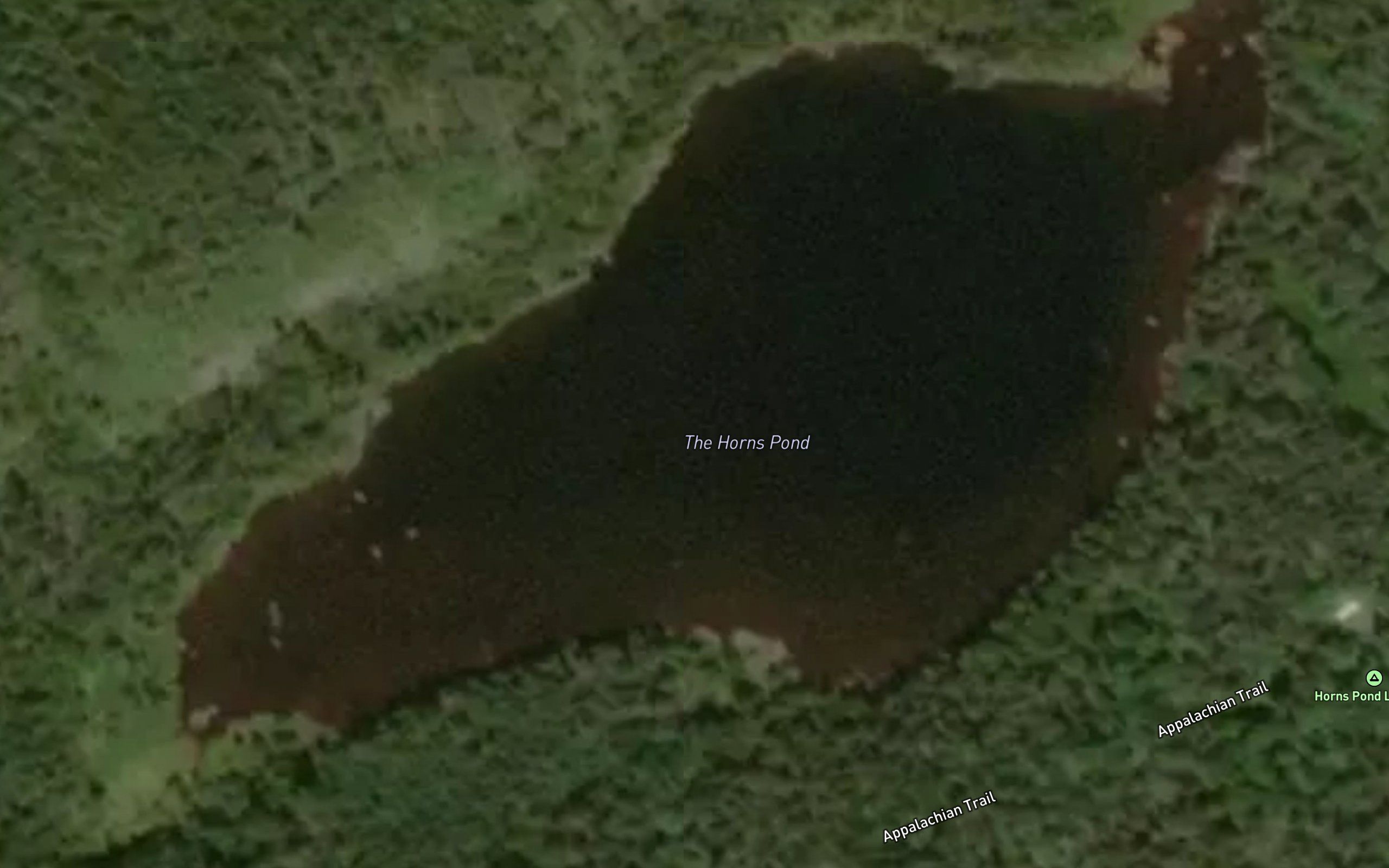 The Horns Pond