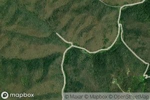 Lower Twin Branch