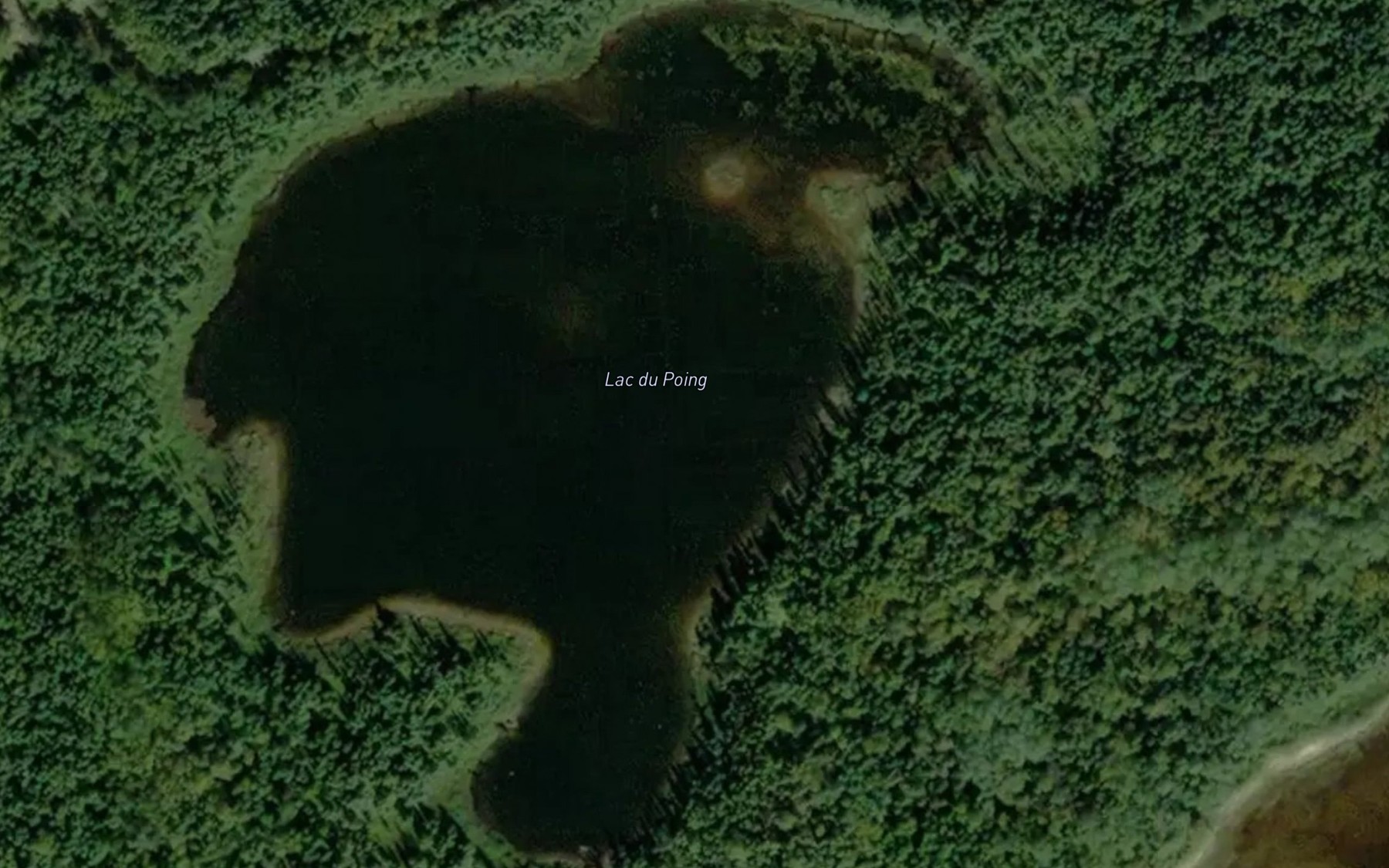 Satellite map of the Lac du Poing