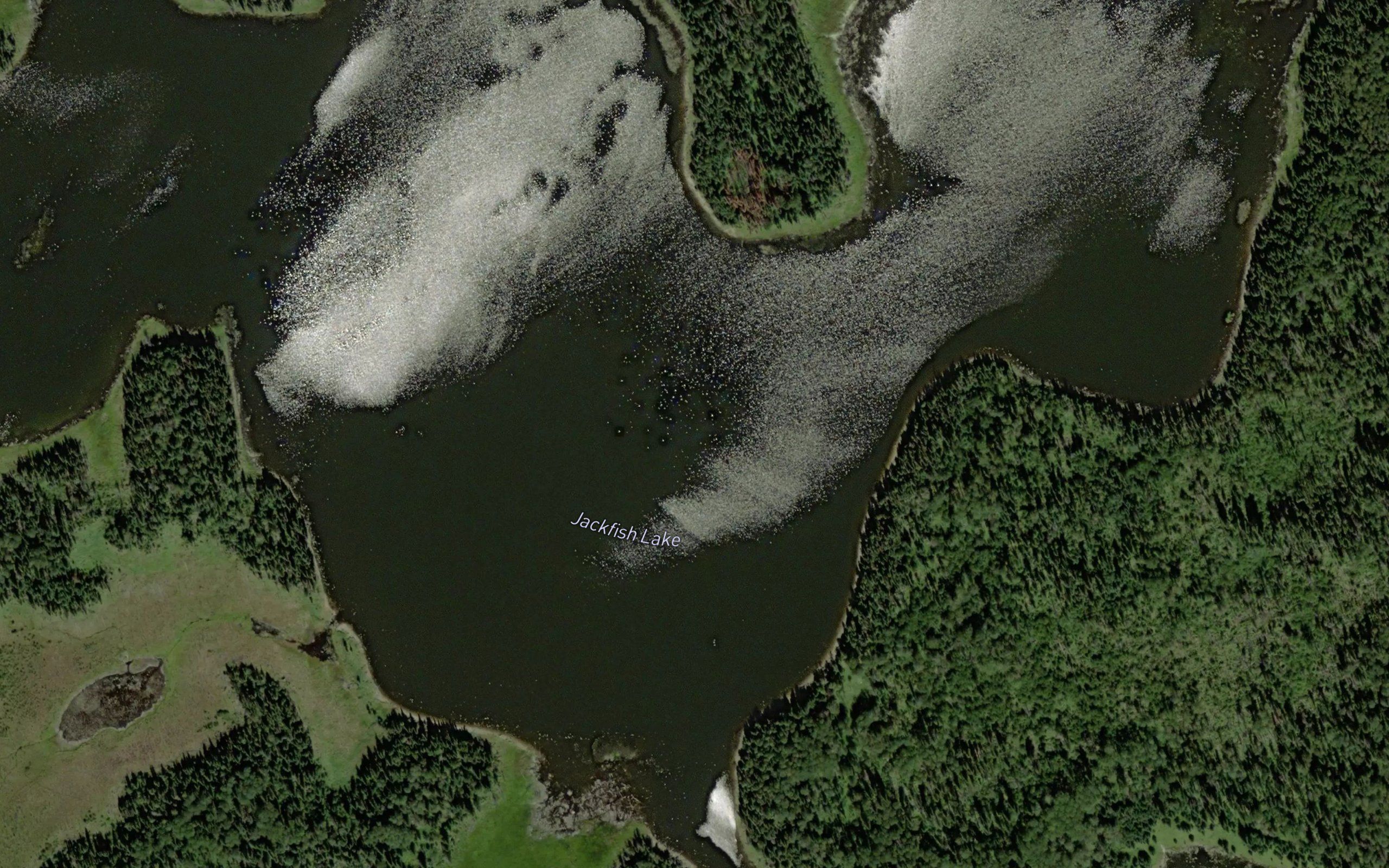 Jackfish Lake