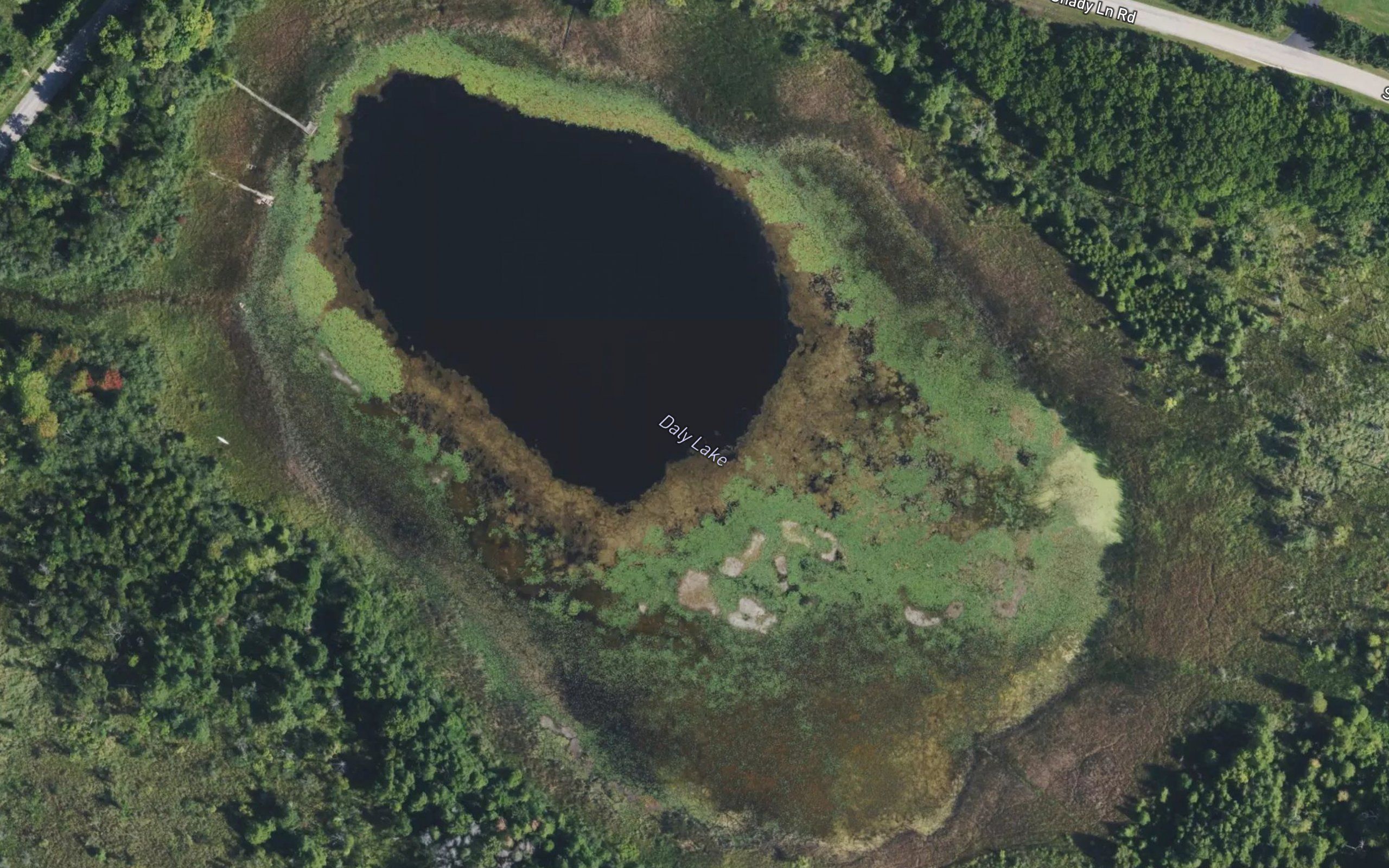 Daly Lake
