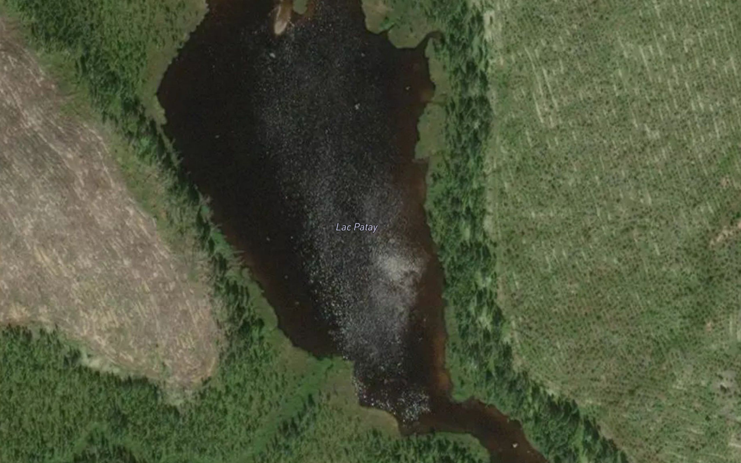 Lac Patay