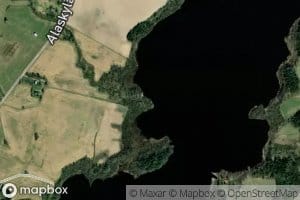 Juurijoki