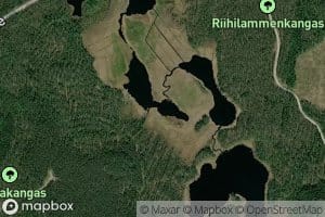 Riihilammit